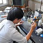 <span class="qrinews-figure-title">2012年10月29日 修士1年の田上さん</span>　培養条件による古細菌の膜脂質の変化を研究しています。（撮影場所：<a href="http://orge.geo.kyushu-u.ac.jp/home/Welcome.html" target="_blank">有機宇宙地球化学研究室</a>）