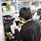 <span class="qrinews-figure-title">2013年4月17日 学部4年の伊藤さん</span>　今は実験機器の使い方や試薬の使い方を勉強しています。（撮影場所：<a href="http://www.biology.kyushu-u.ac.jp/~bunsiide/" target="_blank">分子遺伝学研究室</a>）