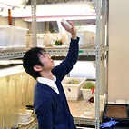 <span class="qrinews-figure-title">2014年2月26日 学部4年の大岩本さん</span>　被子植物の光に対する気孔応答を調べています。（撮影場所：<a href="http://cellbio.biology.kyushu-u.ac.jp/shimazaki/" target="_blank">細胞機能学研究室</a>）