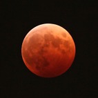 <span class="qrinews-figure-title">2014年10月10日 皆既月食</span>　8日の夜に見られた皆既月食です。天気も良かったので空を見上げると赤い月を見ることができました。掲載写真は旧工学部3号館の屋上で撮影されたものです。（撮影場所：<a href="https://maps.google.co.jp/maps?q=33.624496,130.425084+(here)&z=18" target="_blank">旧工学部3号館</a>）
