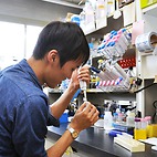 <span class="qrinews-figure-title">2014年11月4日 学部4年の羽田野さん</span>　ショウジョウバエのタンパク質とタンパク質を架橋する酵素を研究しています。（撮影場所：<a href="http://www.biology.kyushu-u.ac.jp/~biopoly/" target="_blank">生体高分子学研究室</a>）