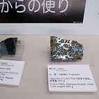 <span class="qrinews-figure-title">2014年11月13日 常設展示室</span>　箱崎キャンパスの旧工学部本館内にある常設展示室の写真です。九大生なら一度は訪れてみてもいいかも。（撮影場所：<a href="http://www.museum.kyushu-u.ac.jp" target="_blank">総合研究博物館常設展示室</a>）
