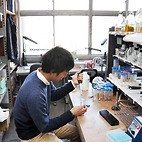 <span class="qrinews-figure-title">2015年1月21日 修士2年の清水さん</span>　出芽酵母のミトコンドリア内膜タンパク質のリン脂質代謝経路における機能解析をしています。（撮影場所：<a href="http://www.scc.kyushu-u.ac.jp/Seitaijouhou/" target="_blank">生体情報化学研究室</a>）