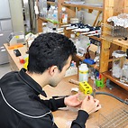 <span class="qrinews-figure-title">2015年1月26日 学部4年の増山さん</span>　酵母のSCS7遺伝子がどのように働くのか調べています。特にリン酸化の意義について調べています。（撮影場所：<a href="http://www.scc.kyushu-u.ac.jp/Seitaijouhou/" target="_blank">生体情報化学研究室</a>）