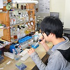 <span class="qrinews-figure-title">2015年2月12日 学部4年の松尾さん</span>　出芽酵母のリン脂質の代謝について調べています。特にPAについて調べています。（撮影場所：<a href="http://www.scc.kyushu-u.ac.jp/Seitaijouhou/" target="_blank">生体情報化学研究室</a>）
