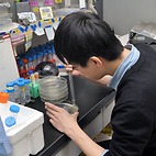 <span class="qrinews-figure-title">2015年2月23日 修士2年の藤澤さん</span>　ヒトのDNAポリメラーゼイプシロンを組み替えタンパク質として単離し生化学的に解析しています。（撮影場所：<a href="http://www.biology.kyushu-u.ac.jp/~chromosome/" target="_blank">染色体機能学研究室</a>）