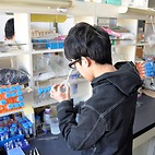 <span class="qrinews-figure-title">2015年3月9日 学部4年の岩田さん</span>　911クランプの分子内相互作用をクロスリンク剤を使って調べています。（撮影場所：<a href="http://www.biology.kyushu-u.ac.jp/~chromosome/" target="_blank">染色体機能学研究室</a>）