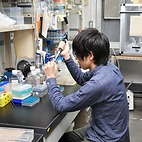 <span class="qrinews-figure-title">2015年3月12日 学部4年の柳澤さん</span>　DNAの損傷応答に関わるタンパク質を研究しています。（撮影場所：<a href="http://www.biology.kyushu-u.ac.jp/~chromosome/" target="_blank">染色体機能学研究室</a>）