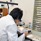 <span class="qrinews-figure-title">2015年6月29日 修士1年の井元さん</span>　大気中に存在している有害な放射性核種について調べています。（撮影場所：<a href="http://mole.rc.kyushu-u.ac.jp/~ircl/" target="_blank">無機反応化学研究室</a>）