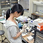 <span class="qrinews-figure-title">2015年7月15日 学部4年の中野さん</span>　微生物の代謝生成物がナノ粒子の凝集に与える影響を調べています。（撮影場所：<a href="http://mole.rc.kyushu-u.ac.jp/~ircl/" target="_blank">無機反応化学研究室</a>）