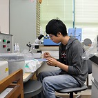 <span class="qrinews-figure-title">2015年7月27日 学部4年の古木さん</span>　河川や土壌中の放射性核種の化学状態や移行挙動を調べています。（撮影場所：<a href="http://mole.rc.kyushu-u.ac.jp/~ircl/" target="_blank">無機反応化学研究室</a>）