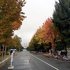 <span class="qrinews-figure-title">2015年12月18日 箱崎の紅葉</span>　めっきりと寒くなってきました。箱崎キャンパスの紅葉が映えていました。（撮影場所：<a href="https://maps.google.co.jp/maps?q=33.627435,130.425331" target="_blank">理農食堂辺り</a>）