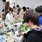 <span class="qrinews-figure-title">2016年1月7日 生物学科の講義風景</span>　今日の写真は生物学科の学部2年生用の基礎遺伝学実験の様子です。この日は電気泳動とアサガオの観察が行われていました。（撮影場所：<a href="https://maps.google.co.jp/maps?q=33.596498,130.220450" target="_blank">ウエスト1号館C棟</a>）