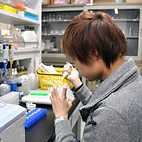 <span class="qrinews-figure-title">2016年2月10日 博士3年の森脇さん</span>　気孔の機能化について研究しています。気孔が形成された後に正しく開閉されるシステムが生成されるプロセスを詳しく調べています。（撮影場所：<a href="http://plant.biology.kyushu-u.ac.jp" target="_blank">植物生理学研究室</a>）